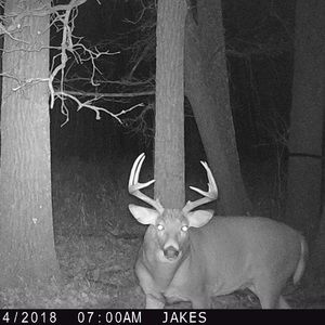 Meet your Posher, Jake